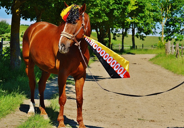 魏祥鑫：刷抖音看到自己入选60大新星，还是想去国外待一年