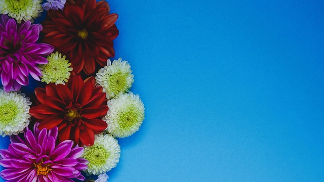 4场7球，阿尔巴尼亚是凯恩英格兰队生涯进球最多的对手